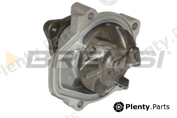 Bremsi WP0293 — Water Pump, engine cooling