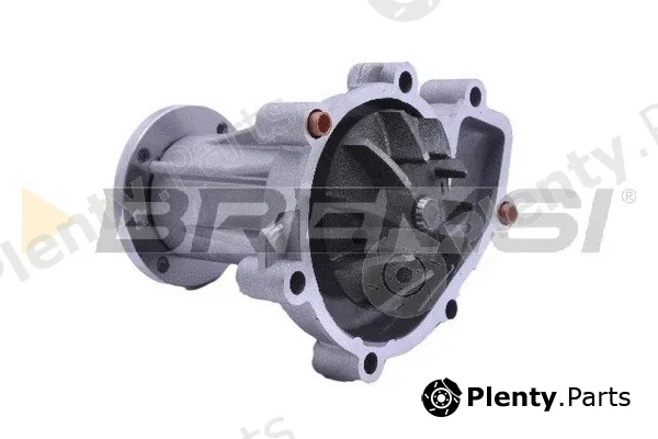 Bremsi WP0622 — Water Pump, engine cooling