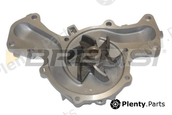 Bremsi WP0497 — Water Pump, engine cooling