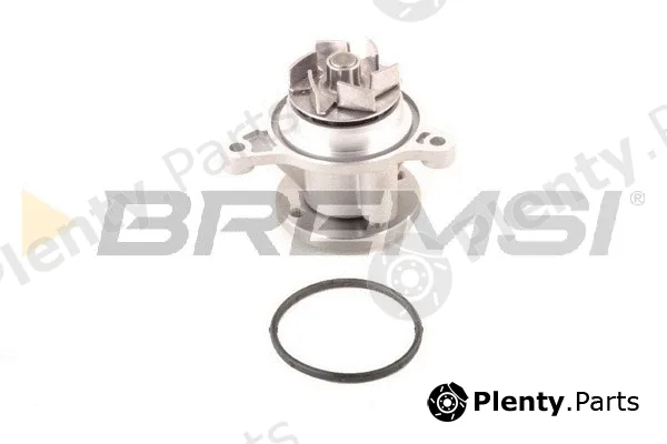 Bremsi WP0253 — Water Pump, engine cooling