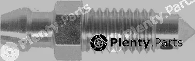 BSF P0015 — Bleeder Screw/Valve, brake caliper