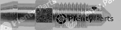 BSF P0069 — Bleeder Screw/Valve, brake caliper