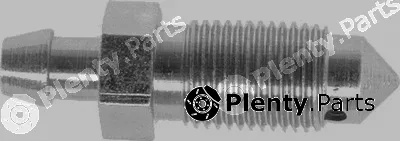 BSF P0019 — Bleeder Screw/Valve, brake caliper