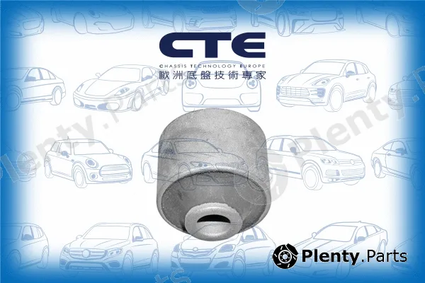 CTE CBH01025 — Mounting, control/trailing arm