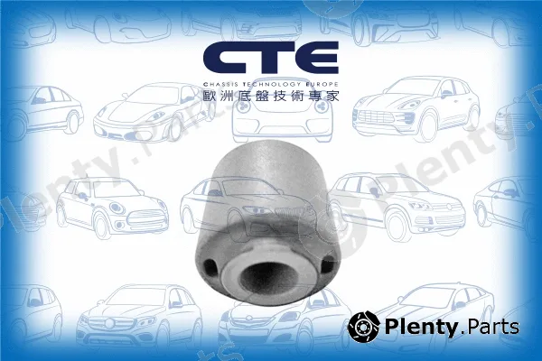 CTE CBH03048 — Mounting, control/trailing arm