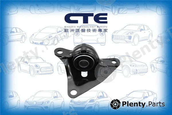 CTE CBH01046L — Mounting, control/trailing arm