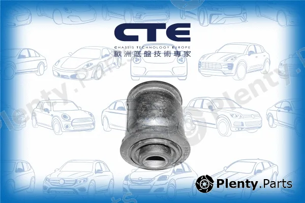 CTE CBH03004 — Mounting, control/trailing arm