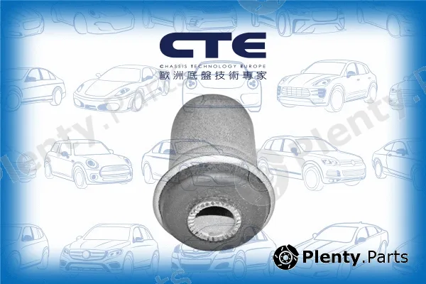 CTE CBH02001 — Mounting, control/trailing arm