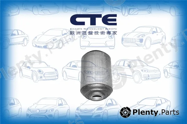 CTE CBH03007 — Mounting, control/trailing arm