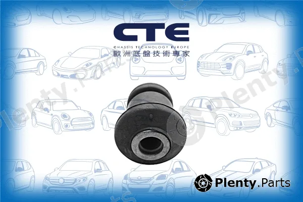 CTE CBH03063 — Mounting, control/trailing arm
