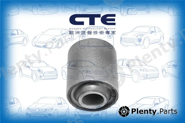 CTE CBH03025 — Mounting, control/trailing arm