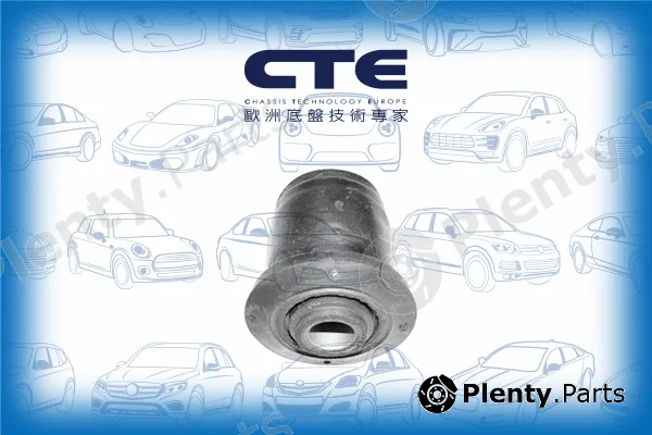 CTE CBH03013 — Mounting, control/trailing arm