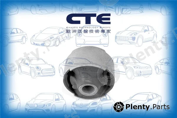 CTE CBH02039 — Mounting, control/trailing arm