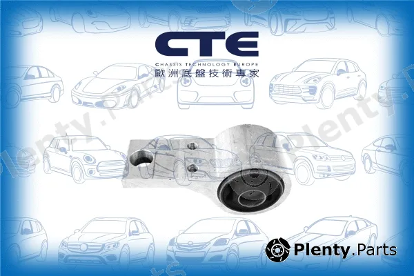 CTE CBH03053 — Mounting, control/trailing arm