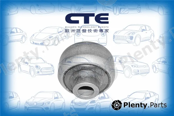 CTE CBH03022 — Mounting, control/trailing arm