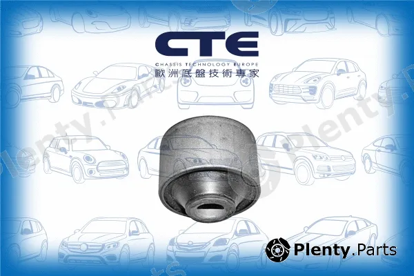 CTE CBH03019 — Mounting, control/trailing arm