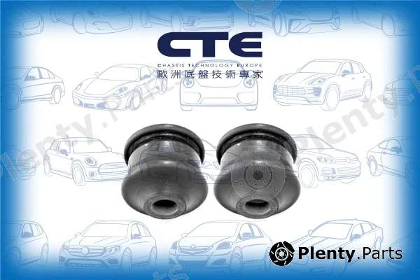 CTE CBH03064 — Mounting, control/trailing arm