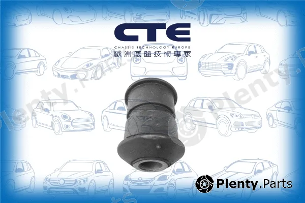 CTE CBH03056 — Mounting, control/trailing arm