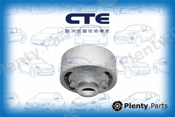 CTE CBH02024 — Mounting, control/trailing arm
