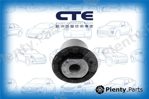 CTE CBH03049 — Mounting, control/trailing arm