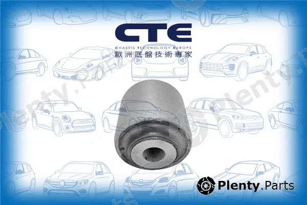 CTE CBH03046 — Mounting, control/trailing arm