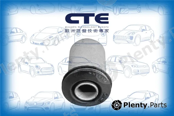 CTE CBH02002 — Mounting, control/trailing arm