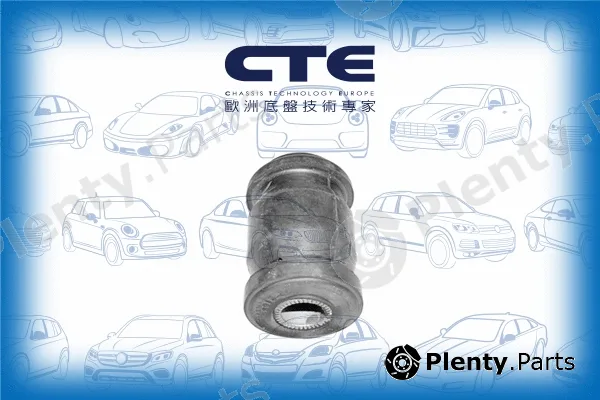 CTE CBH02012 — Mounting, control/trailing arm
