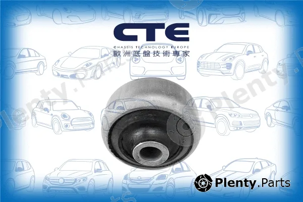 CTE CBH03058 — Mounting, control/trailing arm