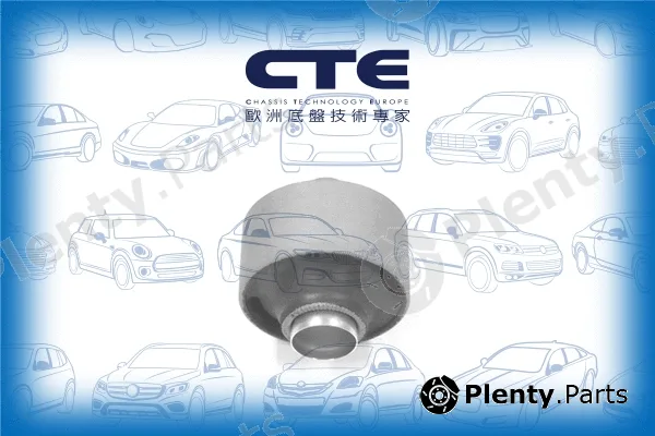 CTE CBH02011 — Mounting, control/trailing arm