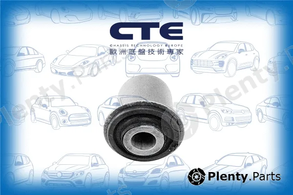 CTE CBH01038 — Mounting, control/trailing arm