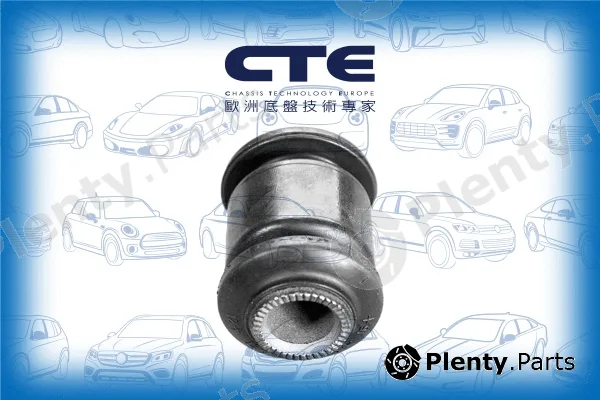 CTE CBH02050 — Mounting, control/trailing arm
