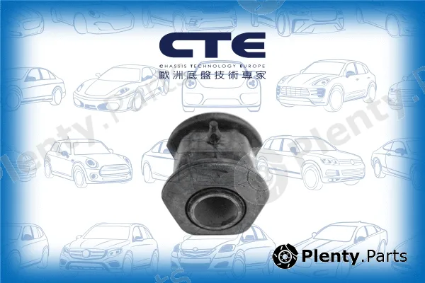 CTE CBH01026 — Mounting, control/trailing arm