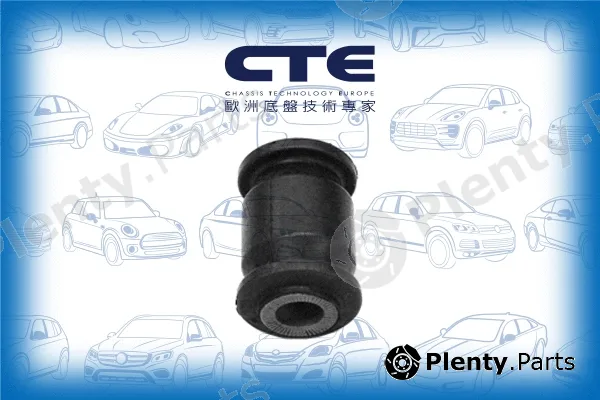 CTE CBH02042 — Mounting, control/trailing arm