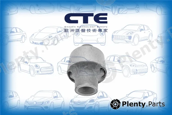 CTE CBH03043 — Mounting, control/trailing arm