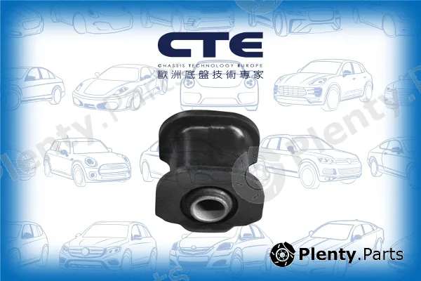 CTE CBH02026 — Mounting, control/trailing arm
