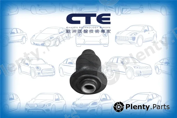 CTE CBH03006 — Mounting, control/trailing arm