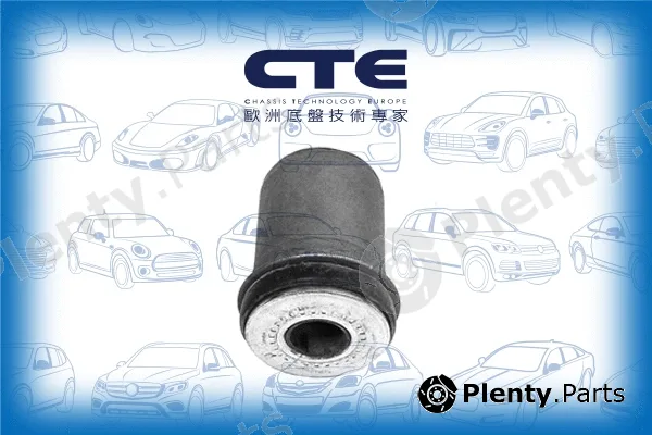 CTE CBH02016 — Mounting, control/trailing arm