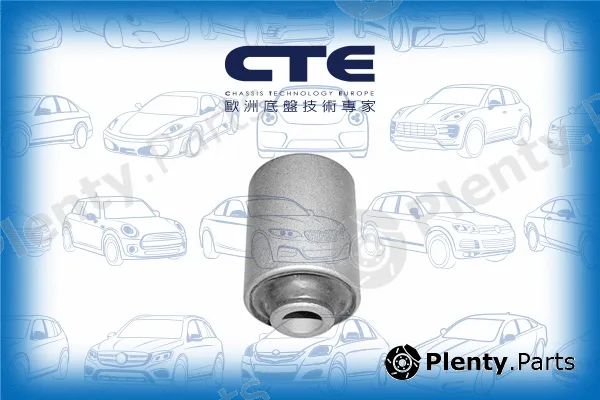 CTE CBH03031 — Mounting, control/trailing arm