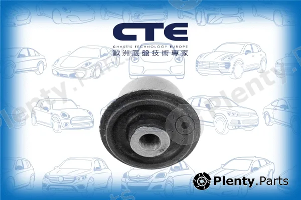 CTE CBH03051 — Mounting, control/trailing arm