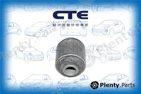 CTE CBH01037 — Mounting, control/trailing arm