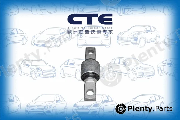 CTE CBH01017 — Mounting, control/trailing arm