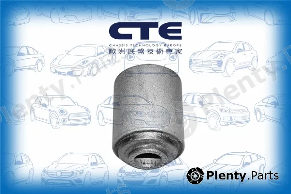 CTE CBH02015 — Mounting, control/trailing arm
