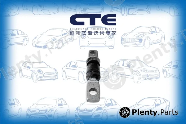 CTE CBH02030 — Mounting, control/trailing arm