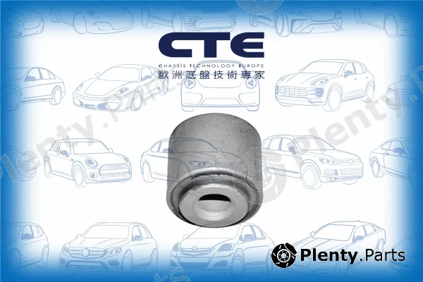 CTE CBH03020 — Mounting, control/trailing arm