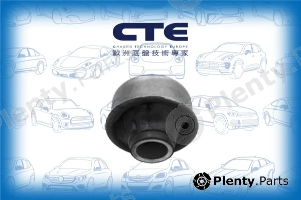 CTE CBH02049 — Mounting, control/trailing arm