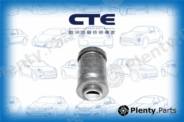 CTE CBH02023 — Mounting, control/trailing arm
