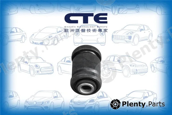 CTE CBH03009 — Mounting, control/trailing arm