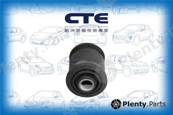 CTE CBH03005 — Mounting, control/trailing arm