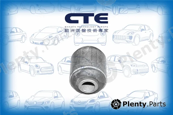 CTE CBH01016 — Mounting, control/trailing arm