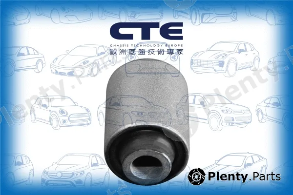 CTE CBH01022 — Mounting, control/trailing arm